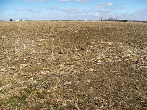 Property photo 36 - 127 Acres Offered in 4 Tracts